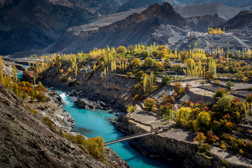 Colourful apricot trees  in late October in Domkar village in the Indian Himalayas, Ladakh, Jammu...