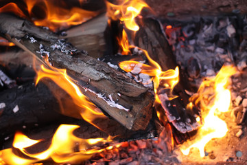 Burning firewood in the fireplace closeup