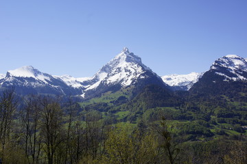 Fototapeta premium Schneegipfel im Frühling