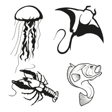 Set of four black  logo silhouettes of jellyfish and vector image of Stingray with fish and lobster, illustration isolated on white background, Marine inhabitants