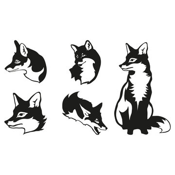 Set of five black  logo silhouettes of  fox, illustration isolated on white background, vector image of animals, sly fox