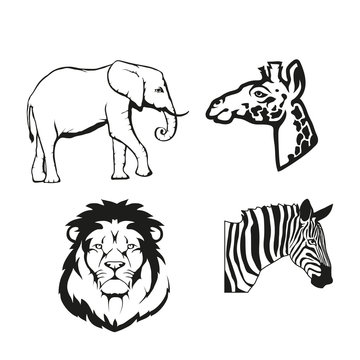 Set of four black  logo silhouettes of elephant and vector image of giraffe with zebra and lion, illustration isolated on white background, Wild African animals