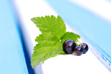 Black currants with leaf macro.