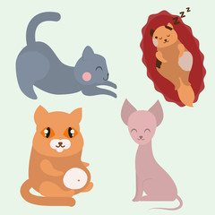 Cute cats character different pose funny animal domestic kitten vector illustration.