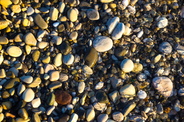 sea pebble beach with multicoloured stones, waves with foam