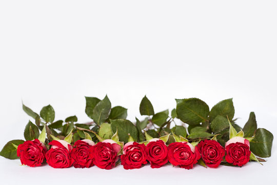 Photo background with roses