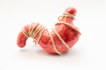 Anatomical model of human stomach, tied with rope lying on white background. Idea for stomach...