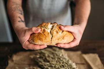 Baker hands breaks in half fresh baked bread loaf