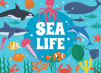 Obraz premium Życie morskie. Podwodny świat z morskimi stworzeniami