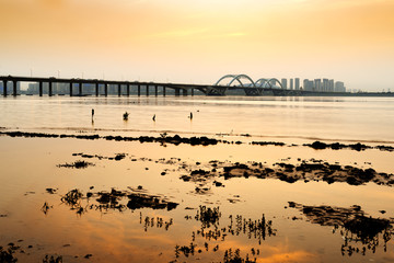 Naklejka premium Modern bridges and rivers