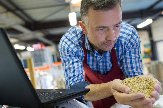 Man holding handful of grains next to laptop