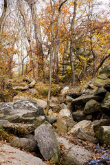 Central Park Rocky Stream