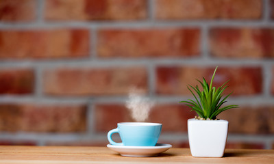 plant and cup of coffee