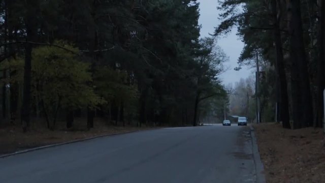 Dangerous Driving in the Forest