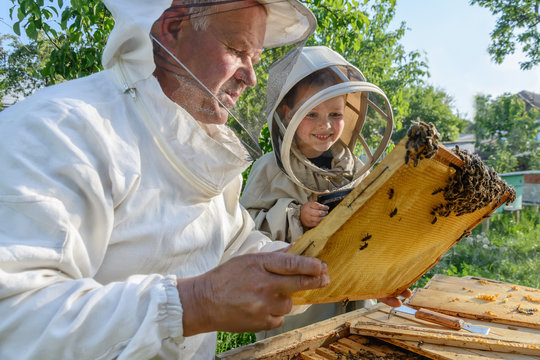 Experienced beekeeper grandfather teaches his grandson caring for bees. Apiculture. The concept of transfer of experience.