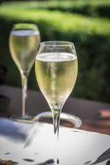 Champagne Glasses filled with French Champagne