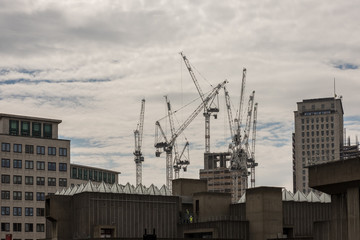 Fototapeta premium Multiple tower cranes on the skyline of the River Thames South Bank