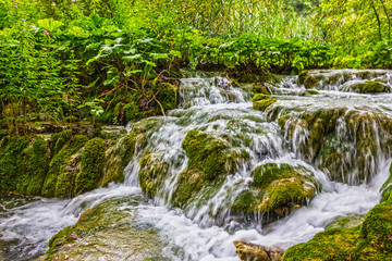 Plitvice lakes waterfall natural green landscape, Croatia