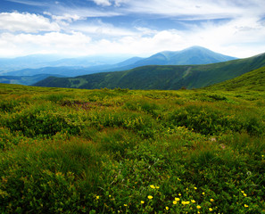 Mountain landscape in summer