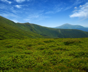 Mountain landscape in summer