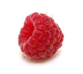  raspberry isolated on white