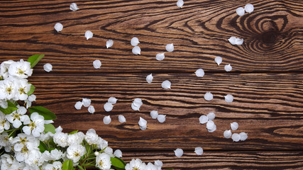  Spring flowers on wood