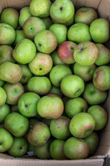 Green apples on the organic traditional food market of tropical Bali island, Indonesia. Sukawati market. Apples background.
