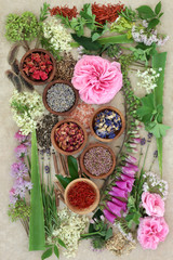 Natural herbal medicine selection with dried and fresh flowers and herbs on hemp paper background.