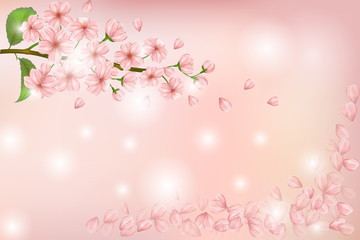 Nature background with blossom of pink sakura flowers, leaves and buds. Shining vector template with beautiful pink flowers branch and soaring petals