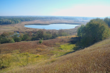 Naklejka premium autumn landscape with yellow tree on coast of the river