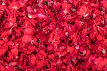 Canang sari flowers background, traditional balinese market, Bali, Indonesia.