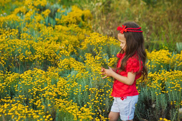 Naklejka na ściany i meble Young cute girl in red shirt and white shorts standing close to yellow flowers.