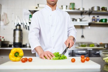 Chef carrying out master-class of cooking healthy food