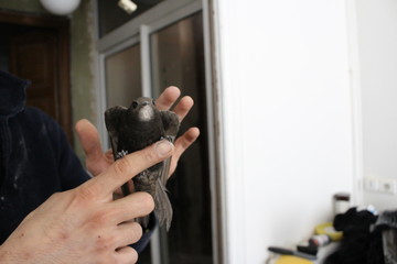 homme qui caresse un oiseau © canecorso