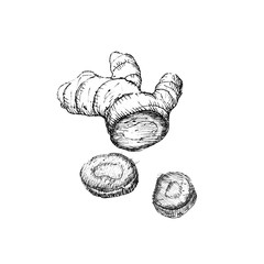 Illustration the ginger with slices on white background, black and white hand-drawn sketch.