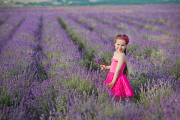 A Brunette girl in a straw hat holding a basket with lavender. A Brunette girl with two braids in a lavender field. A cute Girl in a straw hat in a field of lavender