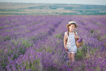 A Brunette girl in a straw hat holding a basket with lavender. A Brunette girl with two braids in a lavender field. A cute Girl in a straw hat in a field of lavender