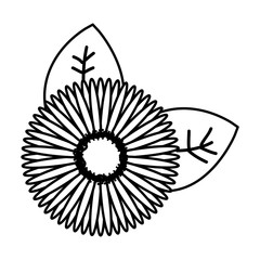 beautiful sunflower decoration icon vector illustration design