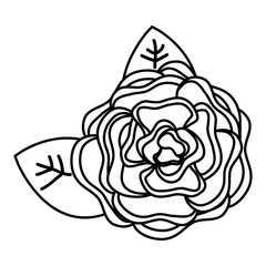 beautiful rose decoration icon vector illustration design