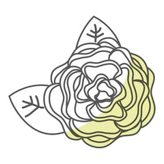 beautiful rose decoration icon vector illustration design