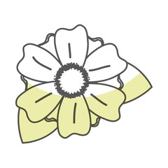 beautiful Flower decoration icon vector illustration design