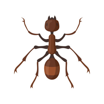 Ant or termite vector illustration in flat style