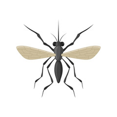 Mosquito icon isolated on white background