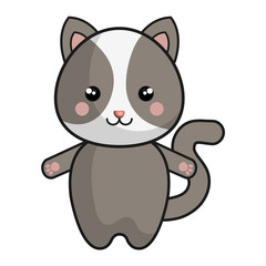cute and tender hamster kawaii style vector illustration design