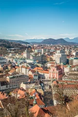 Foto op Canvas Ljubljana capital of Slovenia © pcalapre