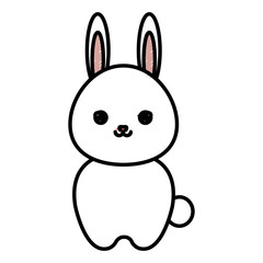 cute and tender rabbit kawaii style vector illustration design