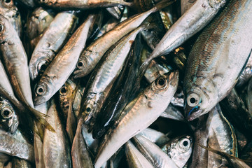 Obraz premium Fresh Fish On Display On Ice On Fishermen Market Store Shop. Seafood