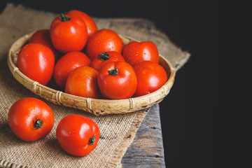 Ripe Tomatoes on the dark background