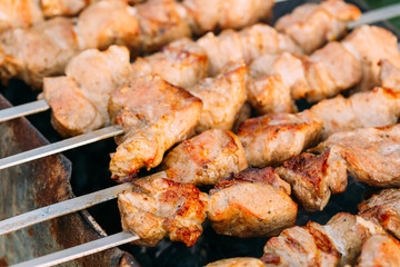 Grilled Barbecue Meat Shashlik Shish Kebab Pork Meat Grilling On