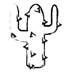 cactus plant isolated icon vector illustration design